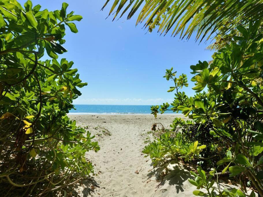 Plantation Villa No.8 - Spacious Villa By The Beach Port Douglas Exterior photo